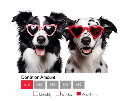 NonProfit Software Donation Forms